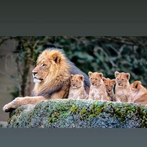 Meet your Posher, Anas